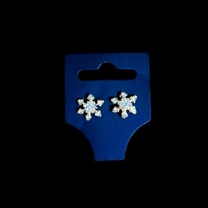 Christmas Stud Earring set